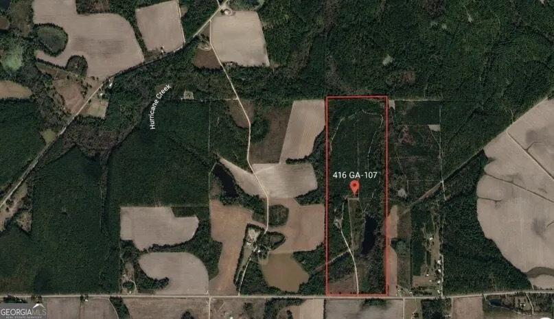 416 GA Highway 107 Hazlehurst, GA 31539