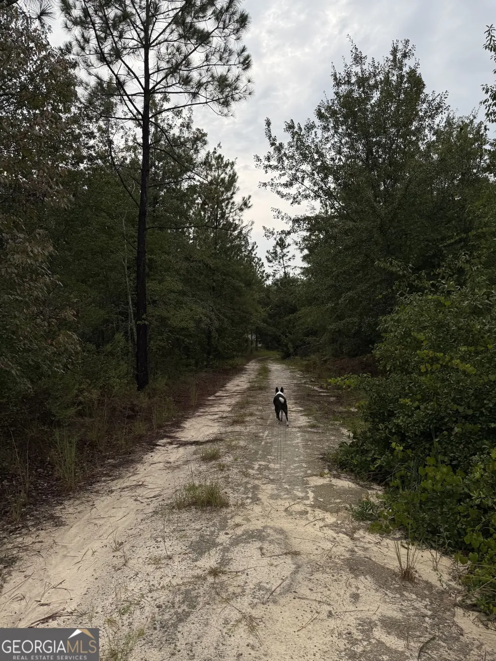 416 GA Highway 107 Hazlehurst, GA 31539