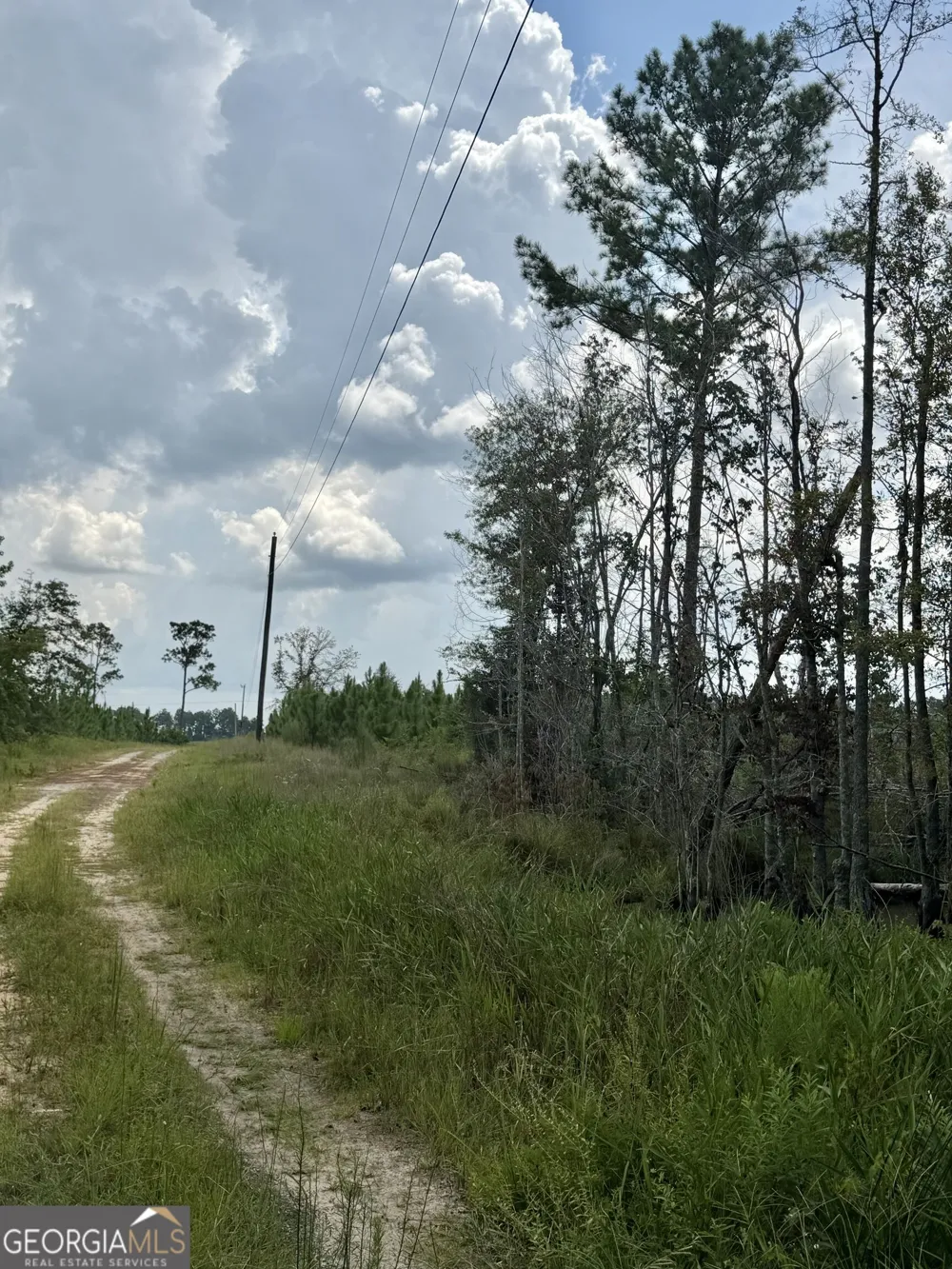 416 GA Highway 107 Hazlehurst, GA 31539