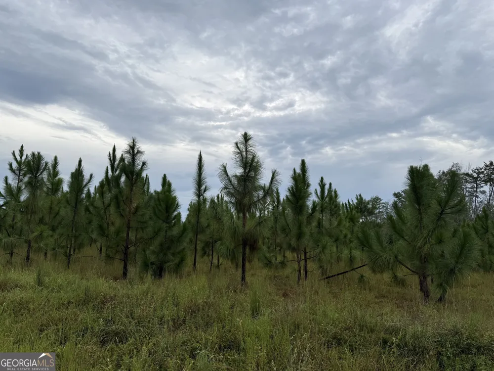 416 GA Highway 107 Hazlehurst, GA 31539