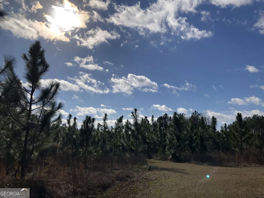 416 GA Highway 107 Hazlehurst, GA 31539