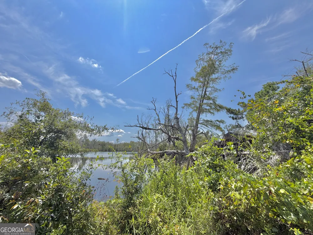 416 GA Highway 107 Hazlehurst, GA 31539