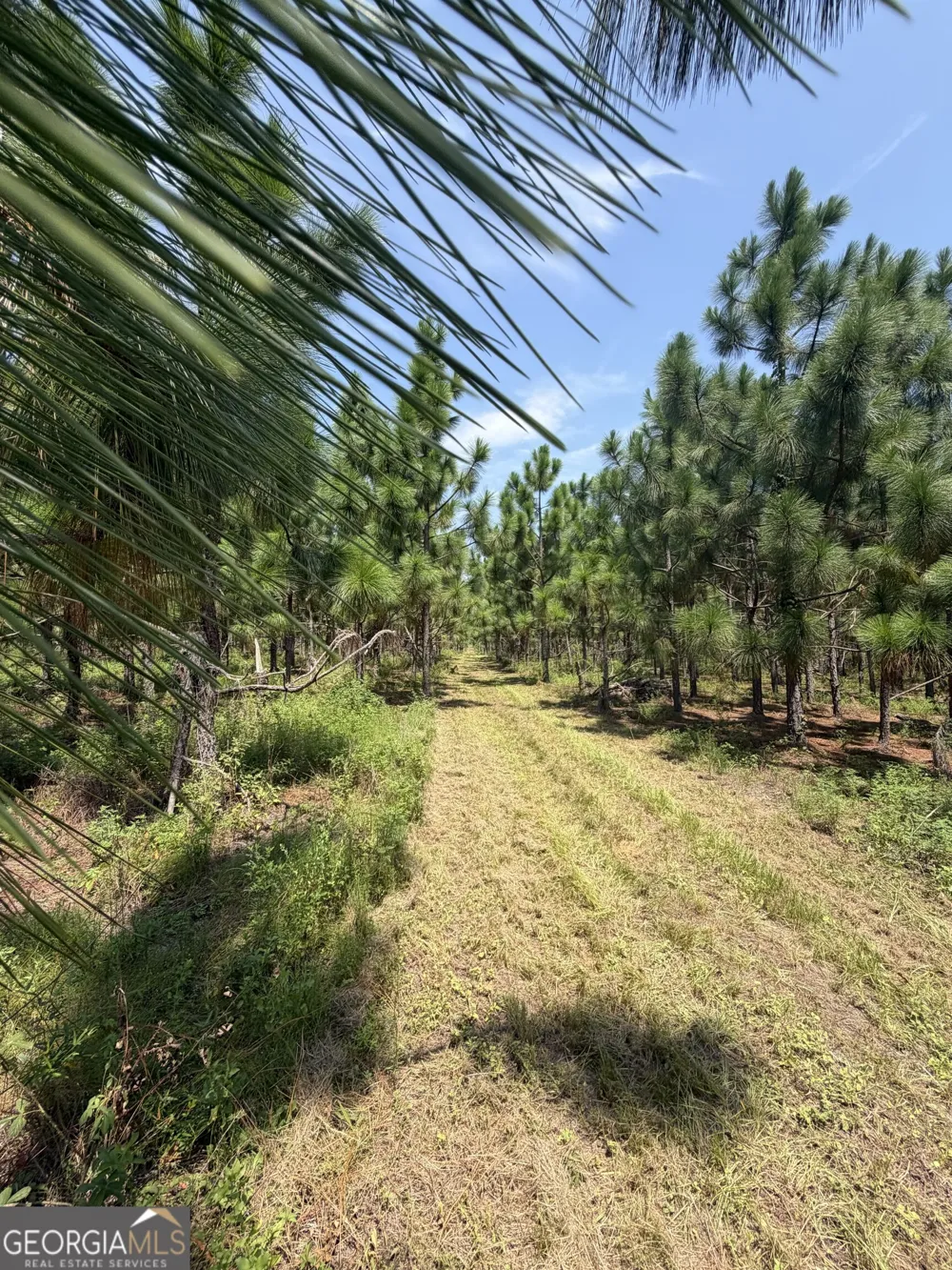 416 GA Highway 107 Hazlehurst, GA 31539