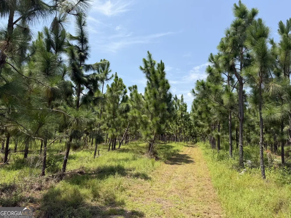 416 GA Highway 107 Hazlehurst, GA 31539