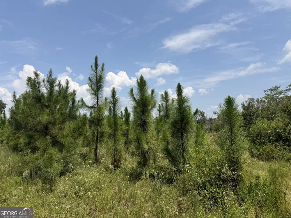 416 GA Highway 107 Hazlehurst, GA 31539