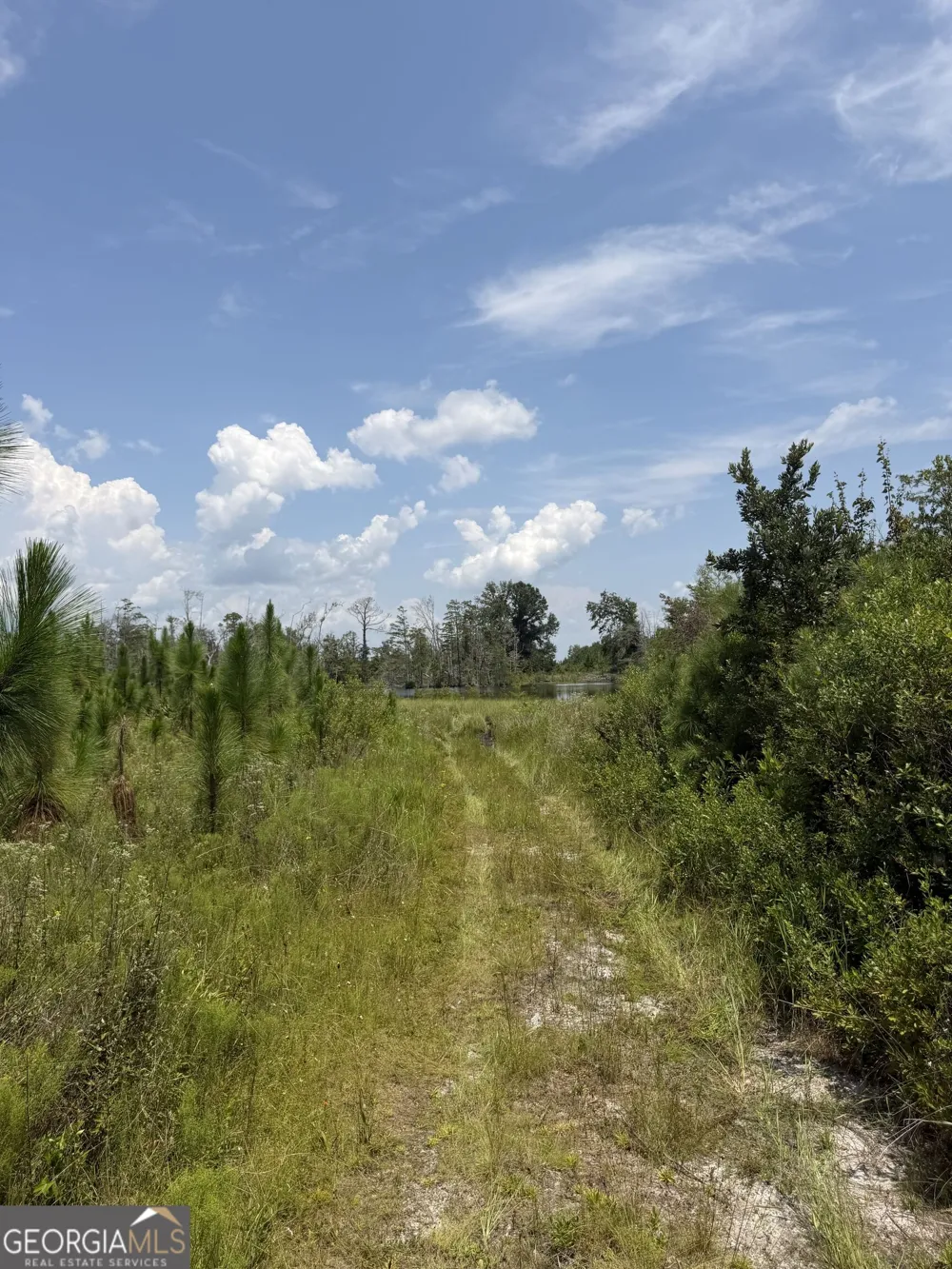 416 GA Highway 107 Hazlehurst, GA 31539