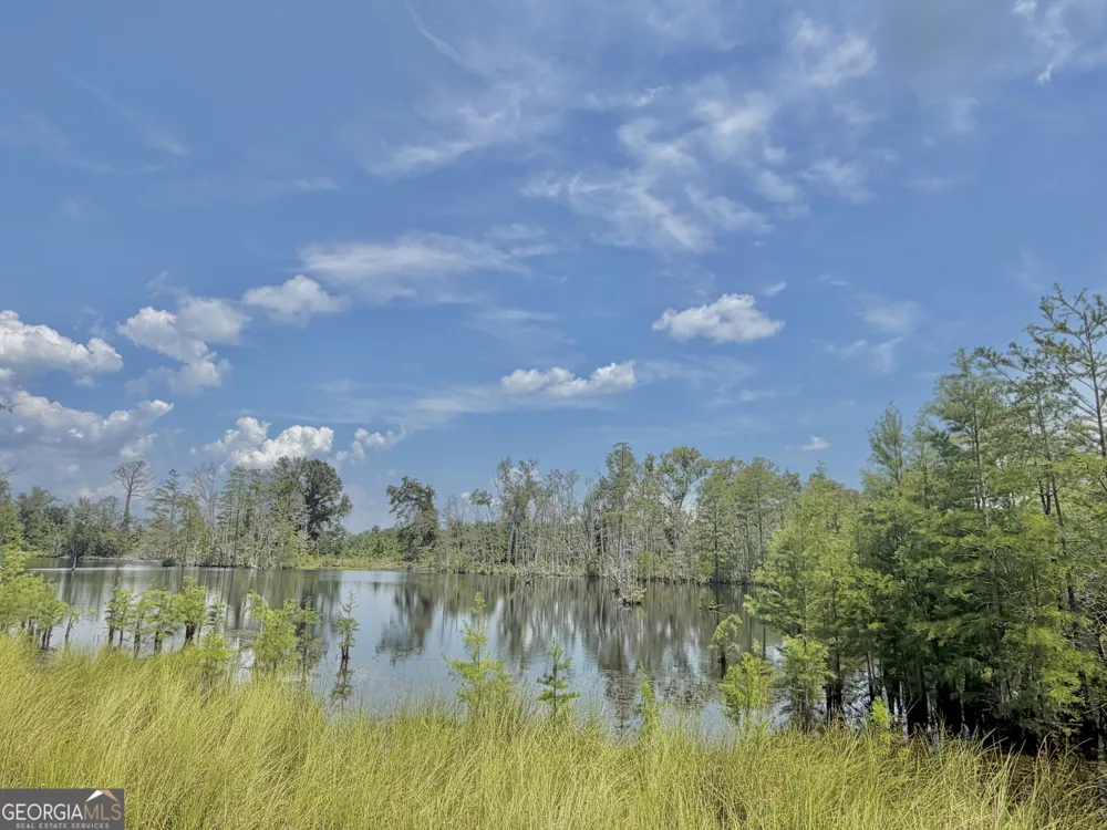 416 GA Highway 107 Hazlehurst, GA 31539