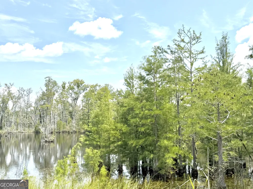 416 GA Highway 107 Hazlehurst, GA 31539