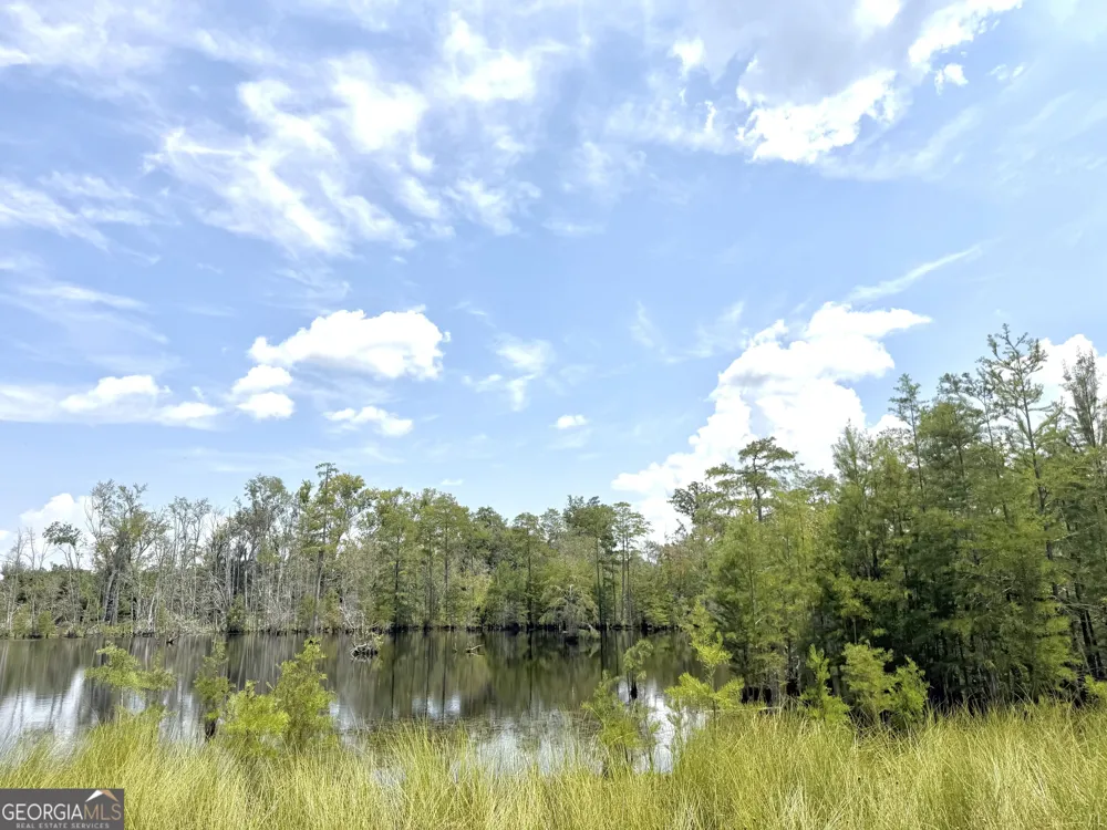 416 GA Highway 107 Hazlehurst, GA 31539