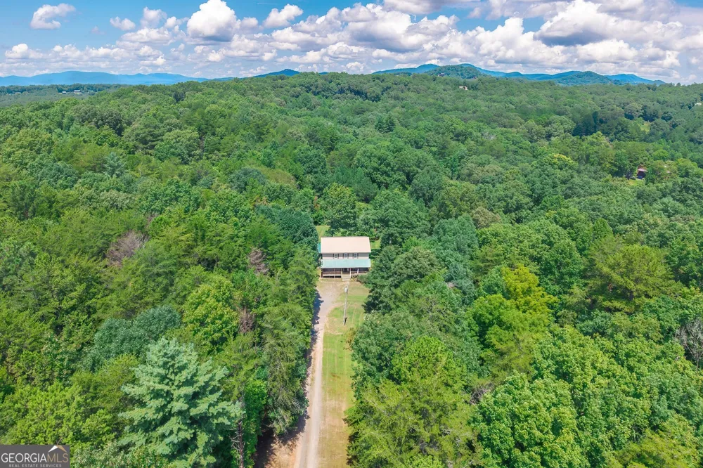 495 Dockery LN Mineral Bluff, GA 30559