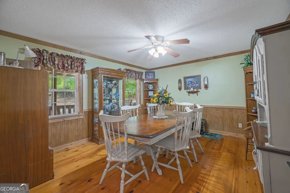 495 Dockery LN Mineral Bluff, GA 30559