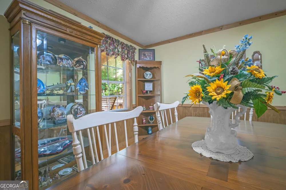 495 Dockery LN Mineral Bluff, GA 30559