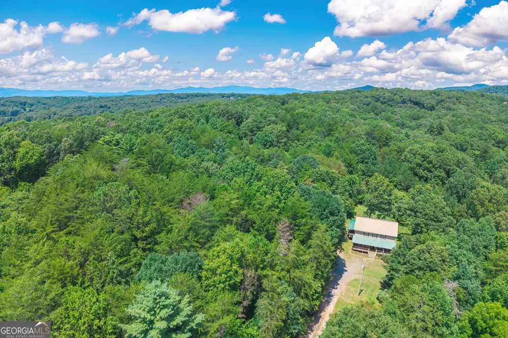 495 Dockery LN Mineral Bluff, GA 30559