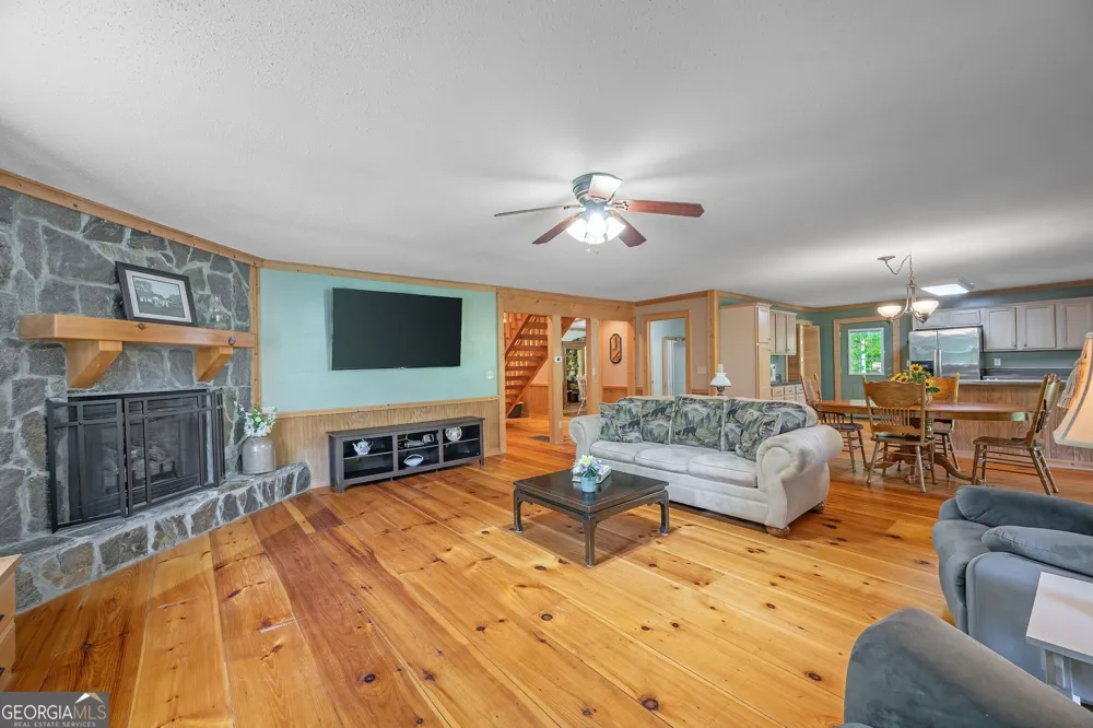 495 Dockery LN Mineral Bluff, GA 30559