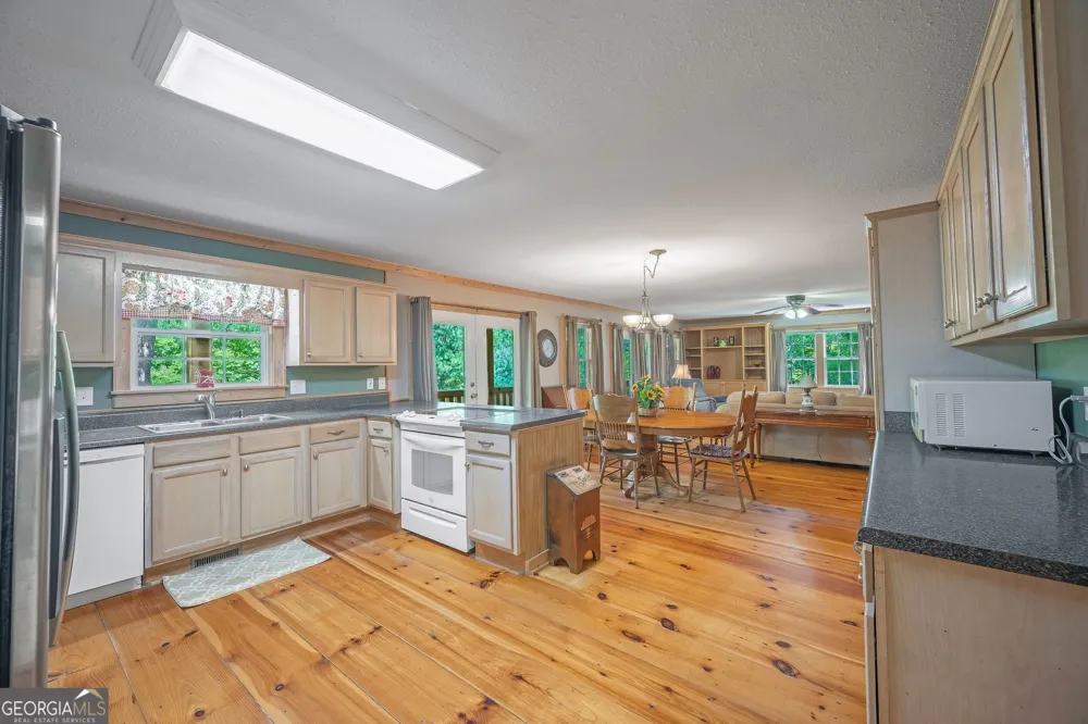 495 Dockery LN Mineral Bluff, GA 30559