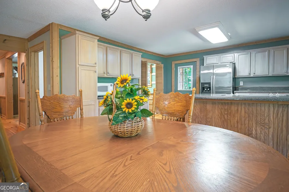 495 Dockery LN Mineral Bluff, GA 30559