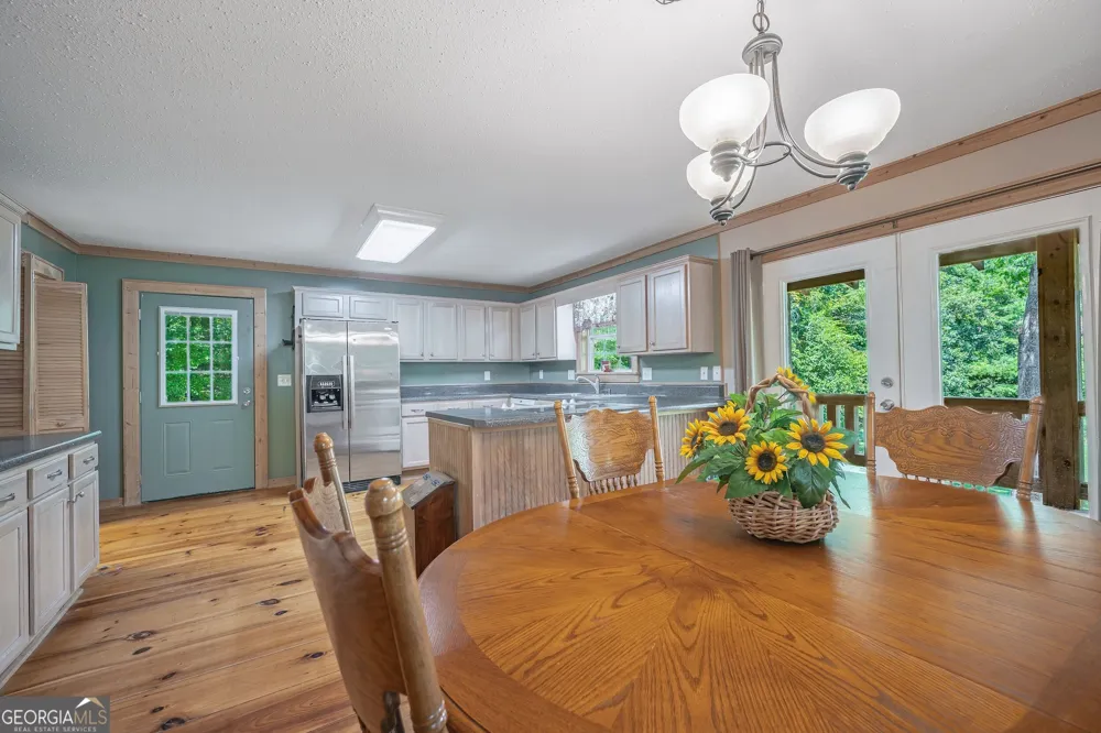 495 Dockery LN Mineral Bluff, GA 30559