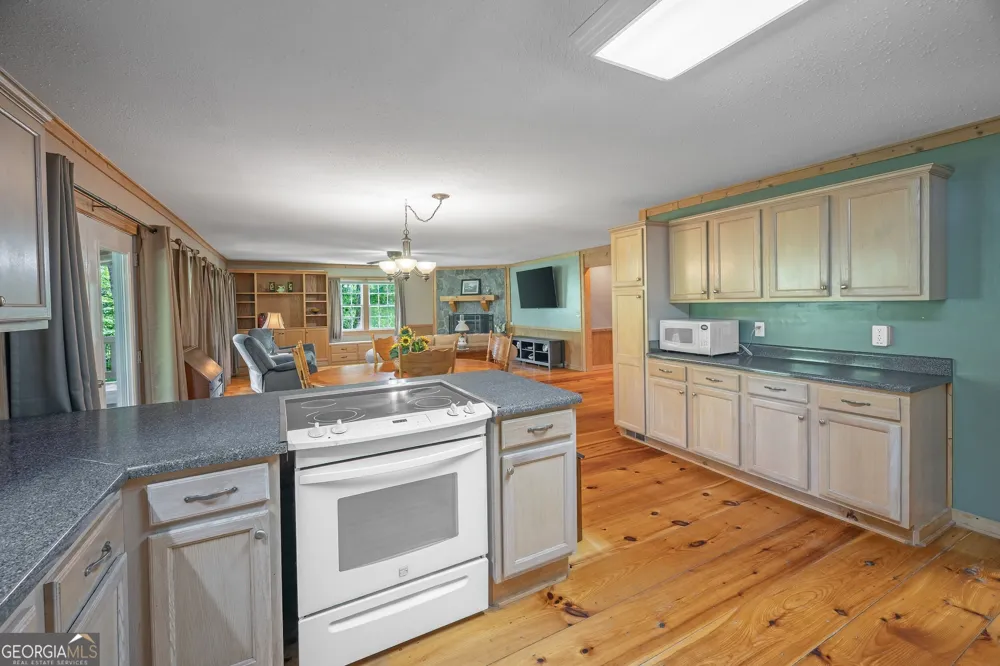 495 Dockery LN Mineral Bluff, GA 30559
