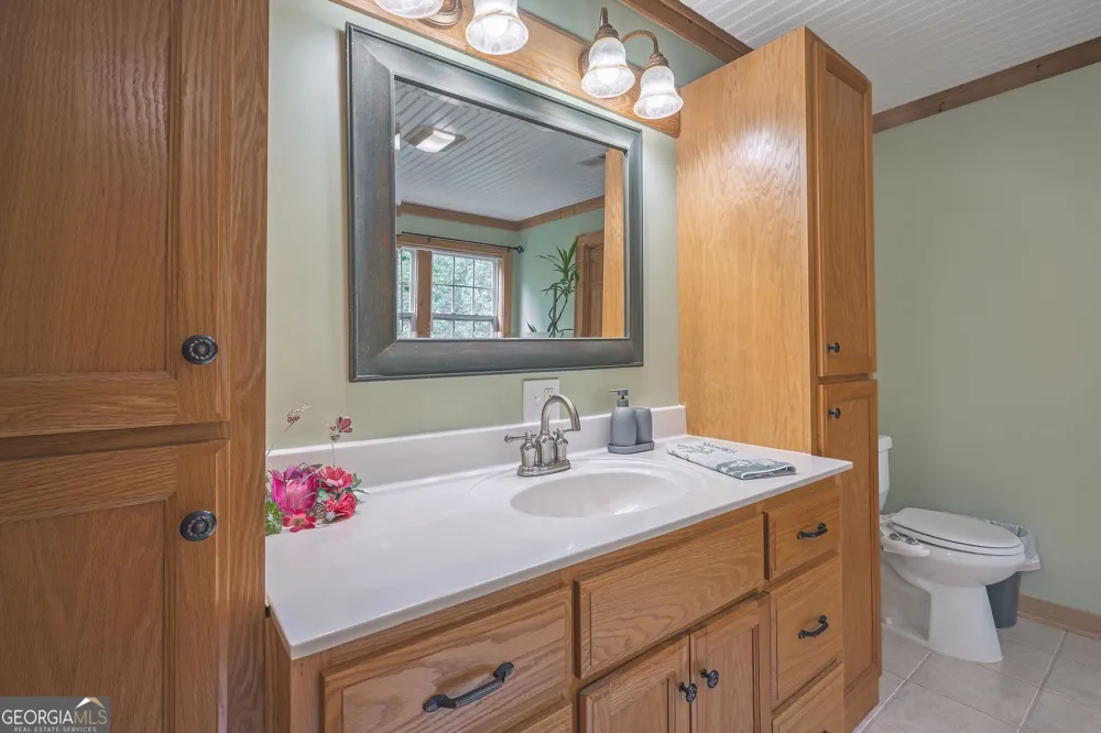 495 Dockery LN Mineral Bluff, GA 30559
