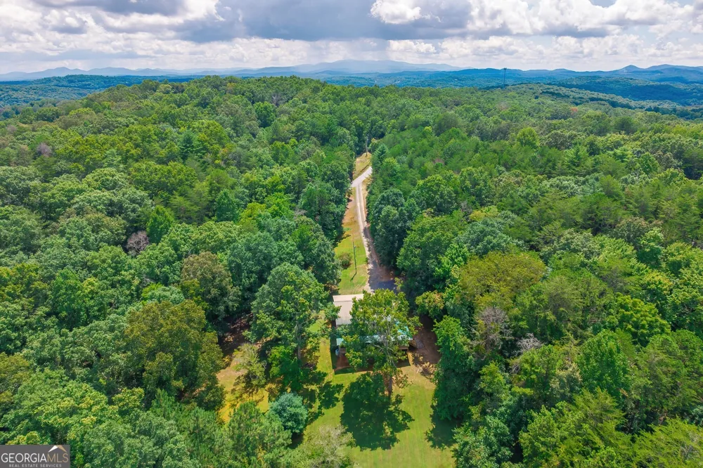 495 Dockery LN Mineral Bluff, GA 30559