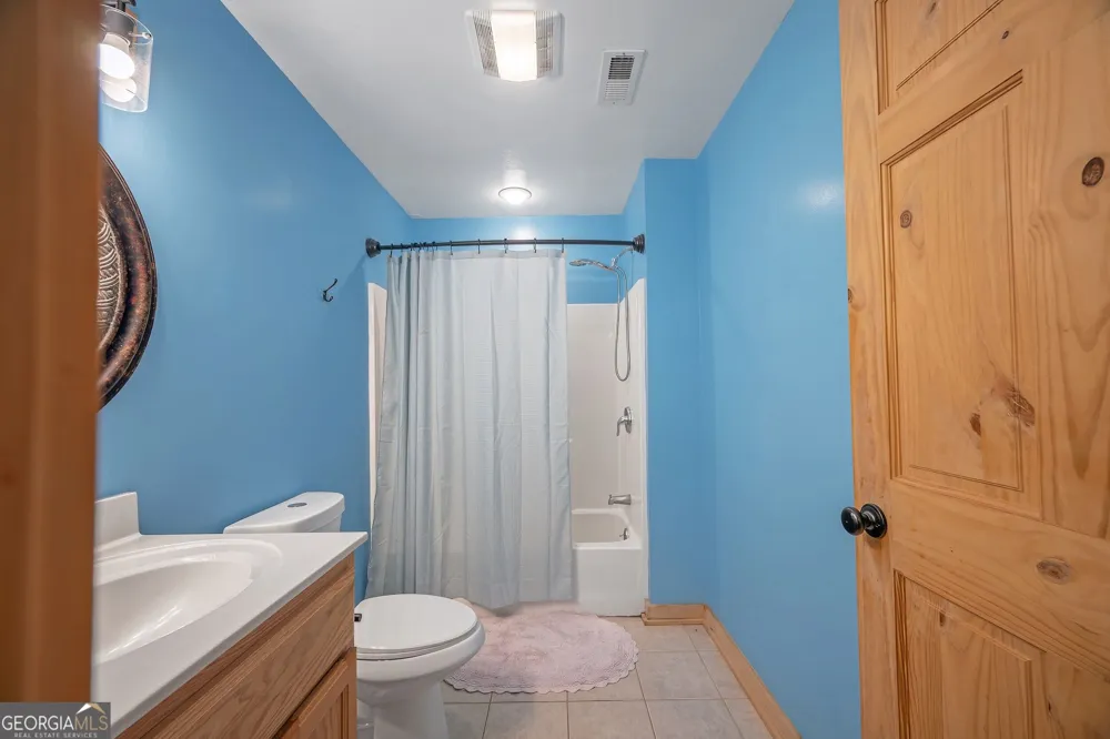 495 Dockery LN Mineral Bluff, GA 30559