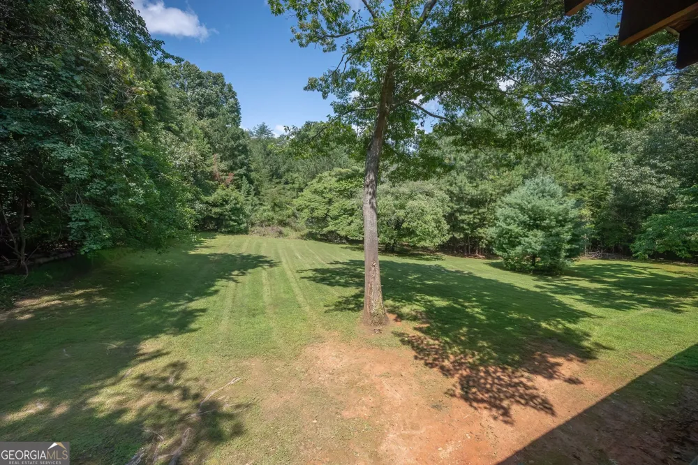495 Dockery LN Mineral Bluff, GA 30559