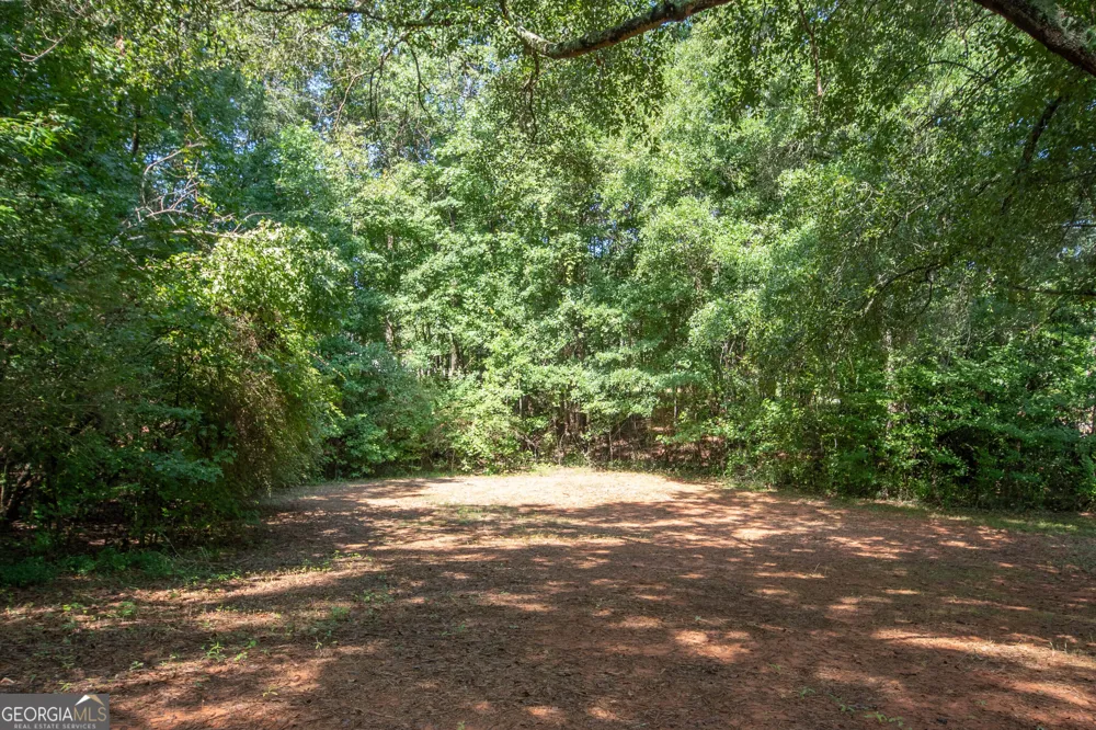 247 Ball ST Moreland, GA 30259