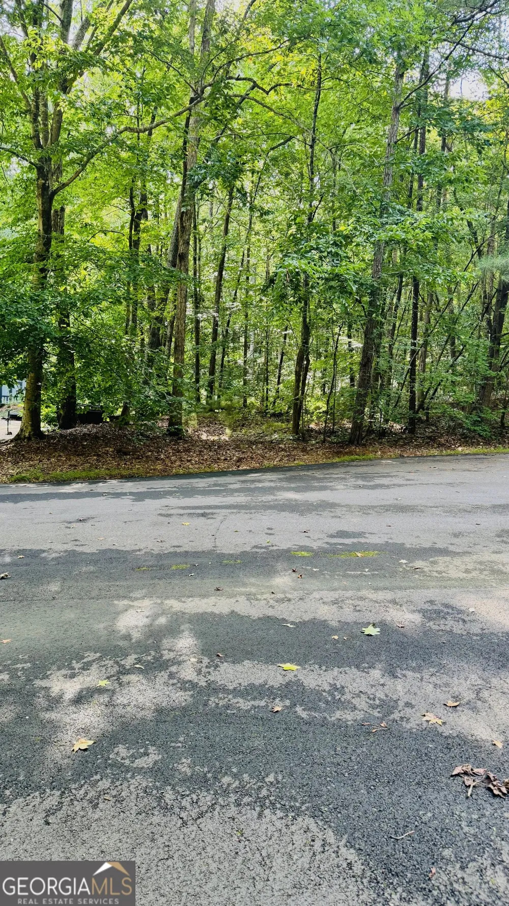 2521 N Carroll CT Villa Rica, GA 30180