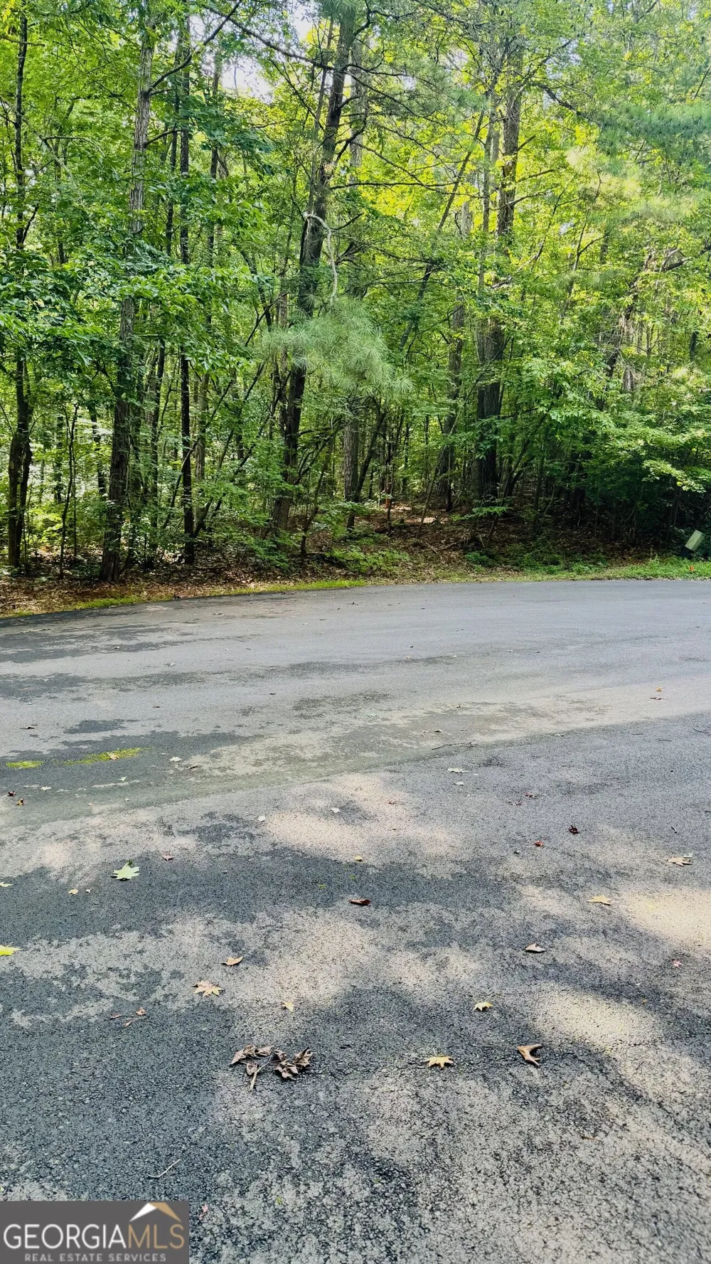 2521 N Carroll CT Villa Rica, GA 30180
