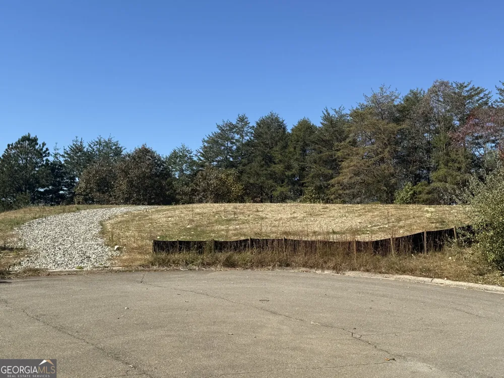 LOT 11 Lindsey LN Blue Ridge, GA 30513