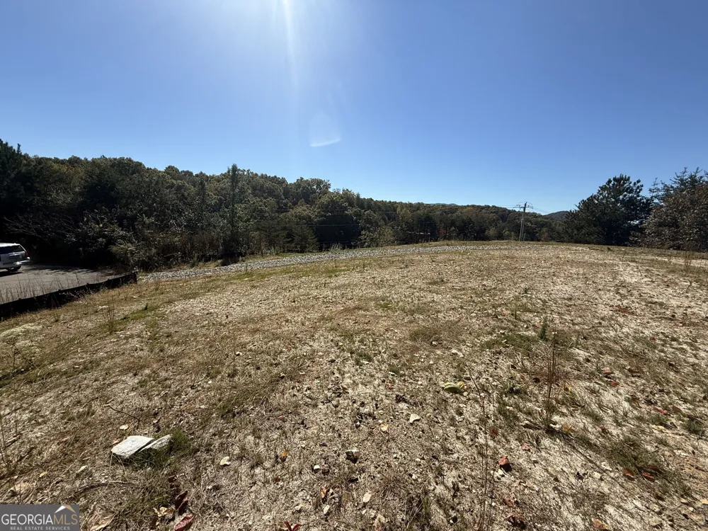 LOT 11 Lindsey LN Blue Ridge, GA 30513