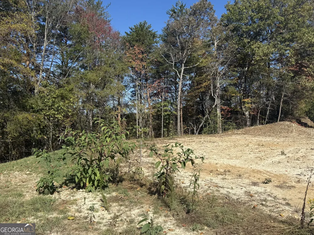 LOT 11 Lindsey LN Blue Ridge, GA 30513