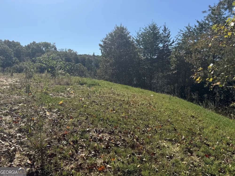 LOT 11 Lindsey LN Blue Ridge, GA 30513