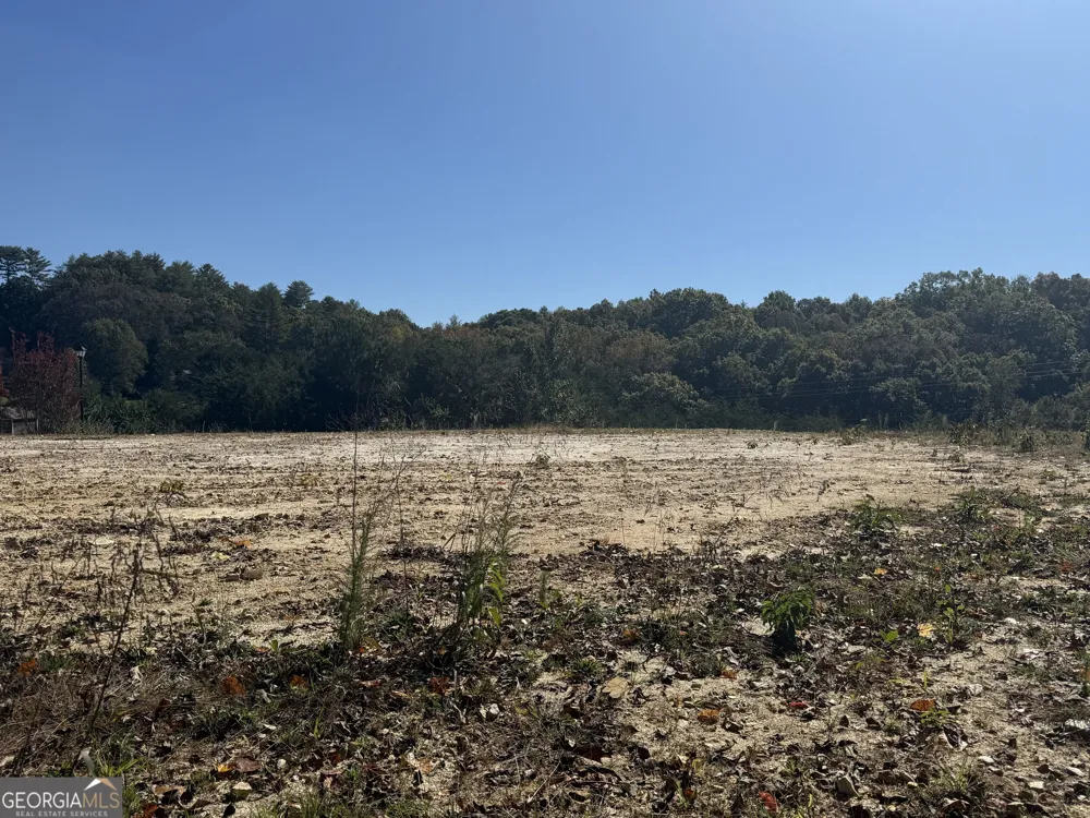 LOT 11 Lindsey LN Blue Ridge, GA 30513
