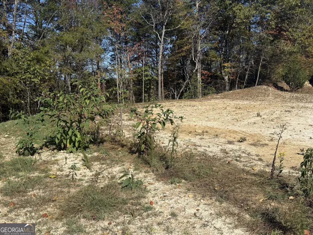 LOT 11 Lindsey LN Blue Ridge, GA 30513