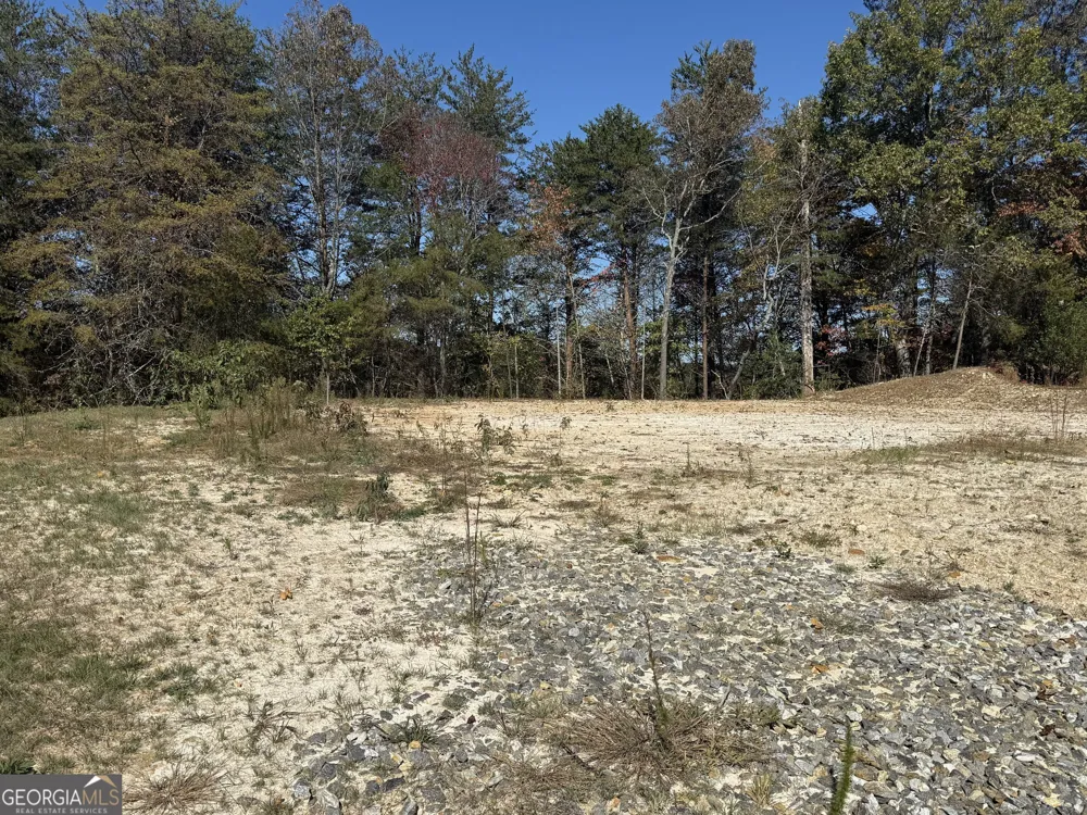 LOT 11 Lindsey LN Blue Ridge, GA 30513