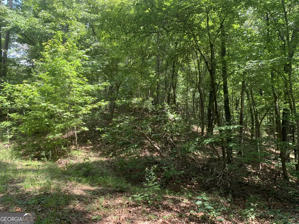 0 Grant Smith, Summit Ridge, Etc. Toccoa, GA 30577