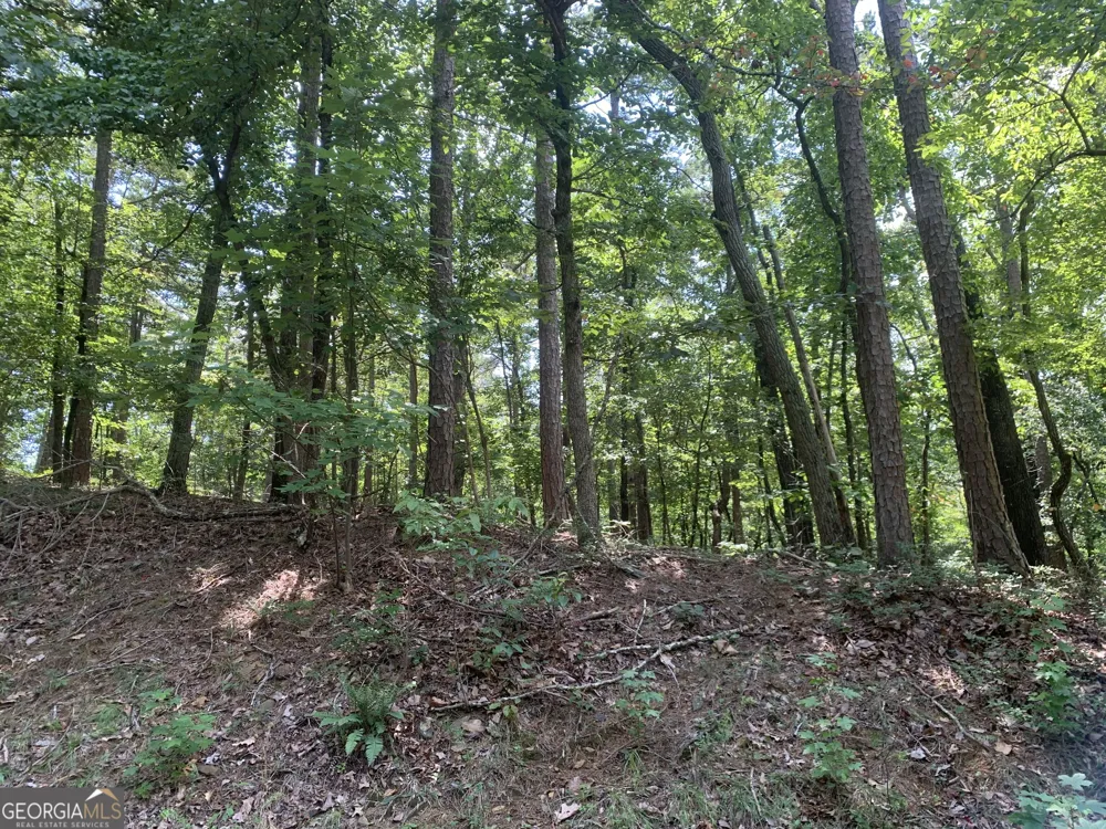 0 Grant Smith, Summit Ridge, Etc. Toccoa, GA 30577