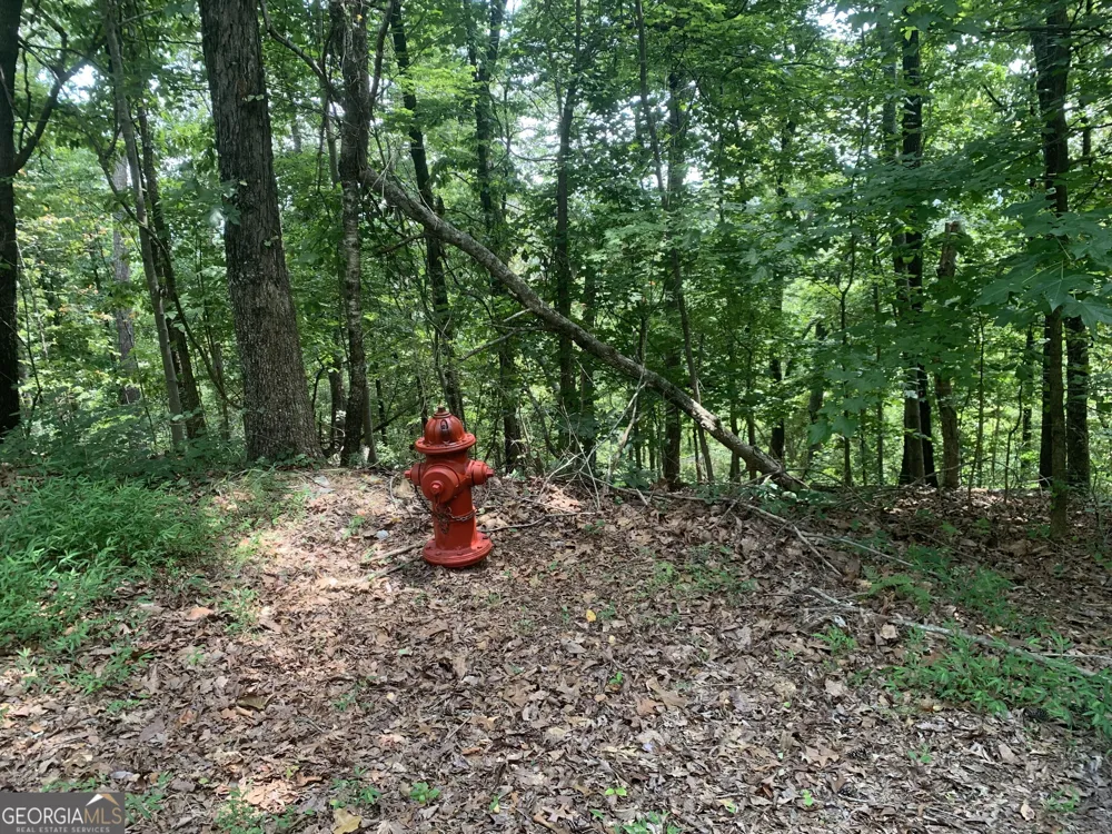 0 Grant Smith, Summit Ridge, Etc. Toccoa, GA 30577