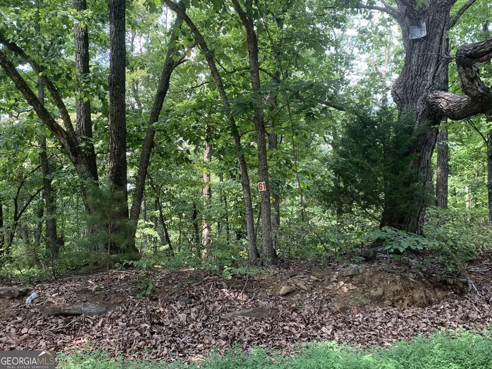 0 Grant Smith, Summit Ridge, Etc. Toccoa, GA 30577