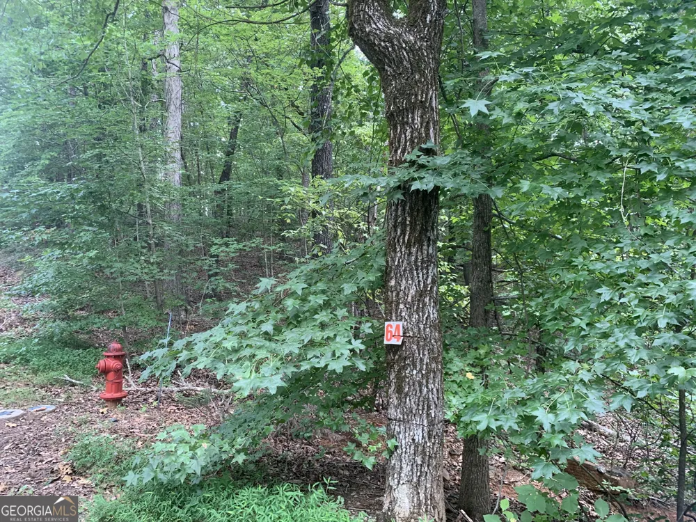 0 Grant Smith, Summit Ridge, Etc. Toccoa, GA 30577