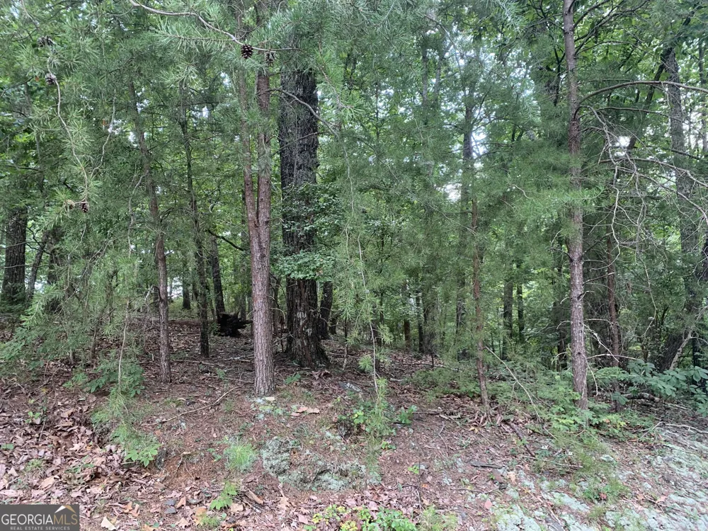 0 Grant Smith, Summit Ridge, Etc. Toccoa, GA 30577