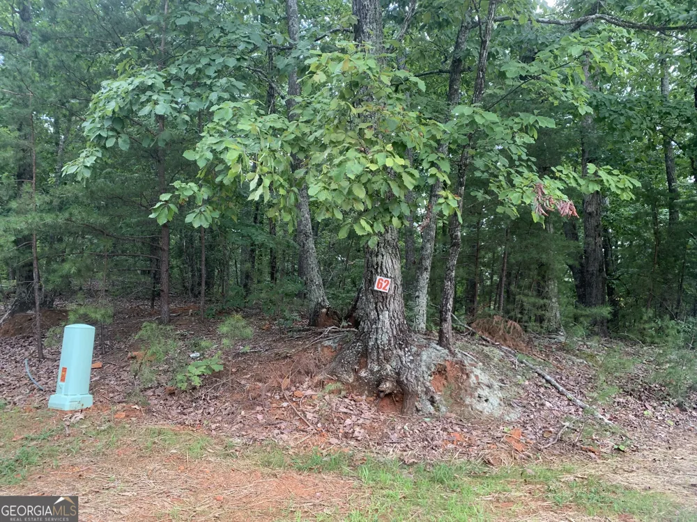 0 Grant Smith, Summit Ridge, Etc. Toccoa, GA 30577