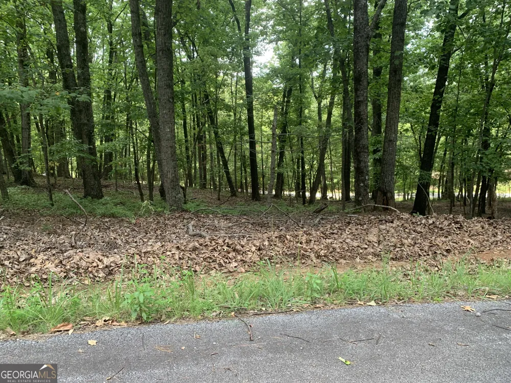 0 Grant Smith, Summit Ridge, Etc. Toccoa, GA 30577
