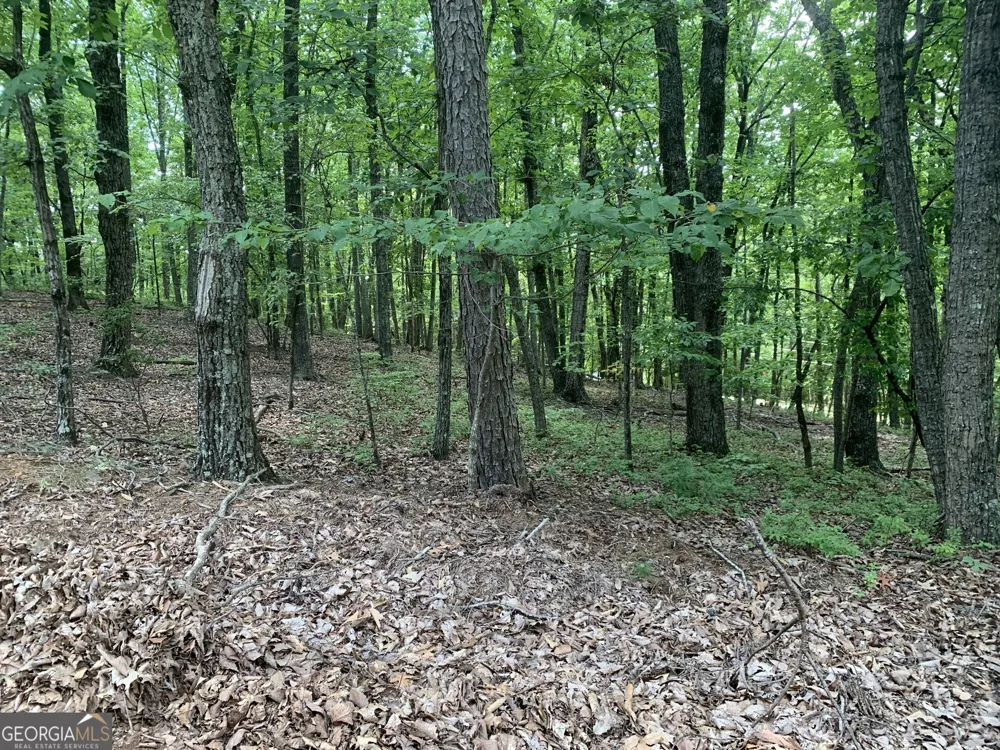 0 Grant Smith, Summit Ridge, Etc. Toccoa, GA 30577