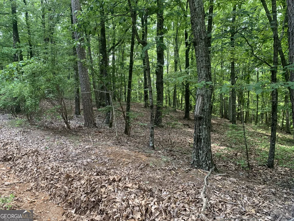 0 Grant Smith, Summit Ridge, Etc. Toccoa, GA 30577