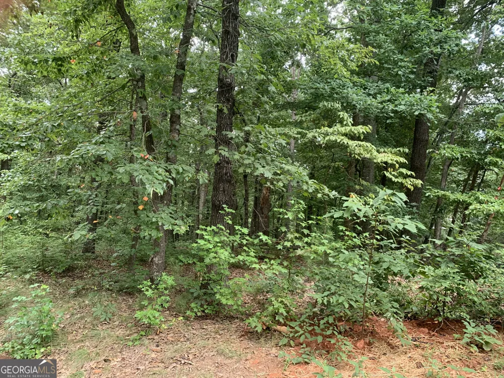 0 Grant Smith, Summit Ridge, Etc. Toccoa, GA 30577