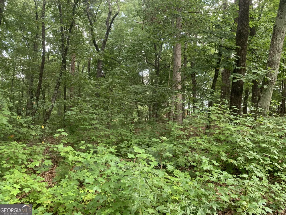 0 Grant Smith, Summit Ridge, Etc. Toccoa, GA 30577