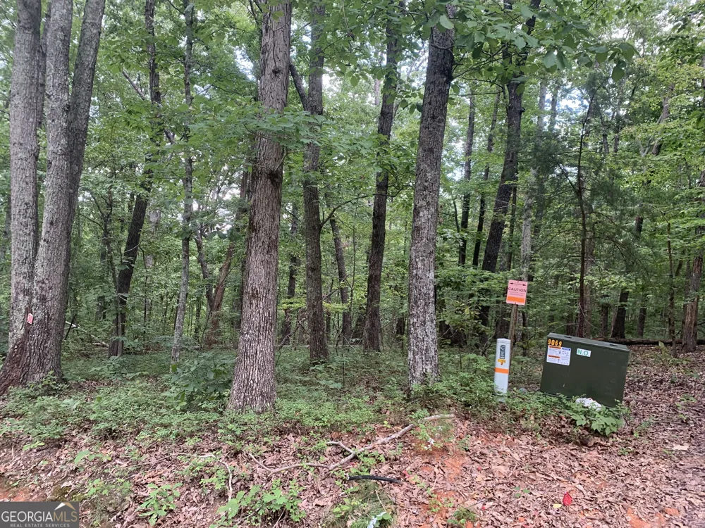 0 Grant Smith, Summit Ridge, Etc. Toccoa, GA 30577