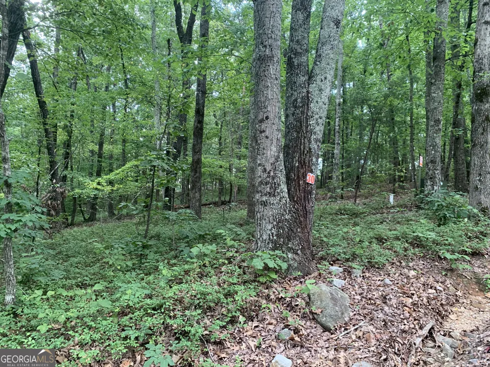 0 Grant Smith, Summit Ridge, Etc. Toccoa, GA 30577